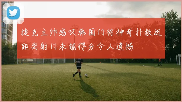 捷克主帅感叹韩国门将神奇扑救近距离射门未能得分令人遗憾